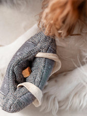 Lambwolf-Collective-jouet-design-minimalist-pour-chien-casette