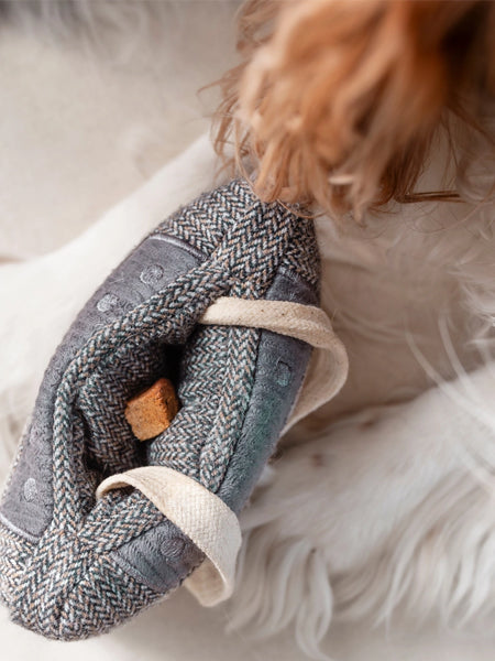 Lambwolf-Collective-jouet-design-minimalist-pour-chien-casette