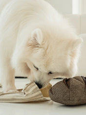 Lambwolf-Collective-jouet-design-minimalist-pour-chien-rye-pain