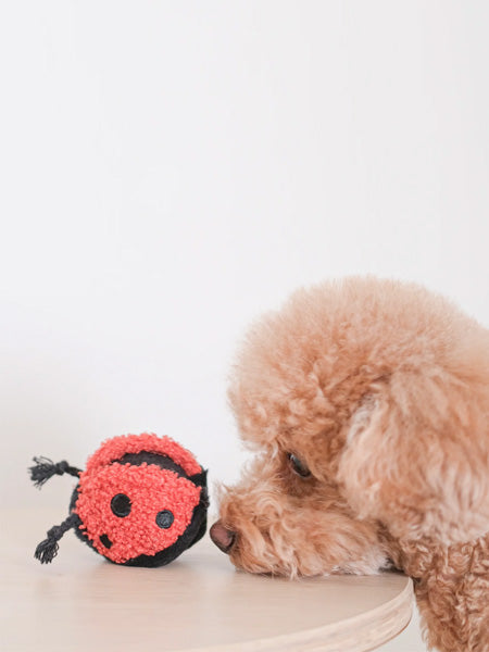        Lambwolf-Collective-jouet-design-minimalist-pour-chien-coccinnelle-fouille-balle