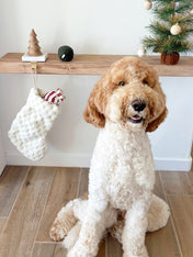 Lambwolf-Collective-peluche-chien-interactive-design-Chaussette-de-noel-XmasStocking