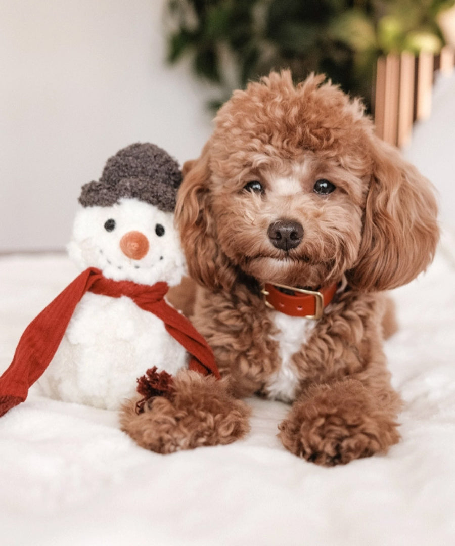 Lambwolf-Collective-peluche-chien-interactive-design-bonhomme-de-neige