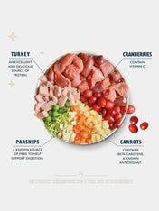 Lily_s-Kitchen-patee-pour-chien-repas-de-noel-2025