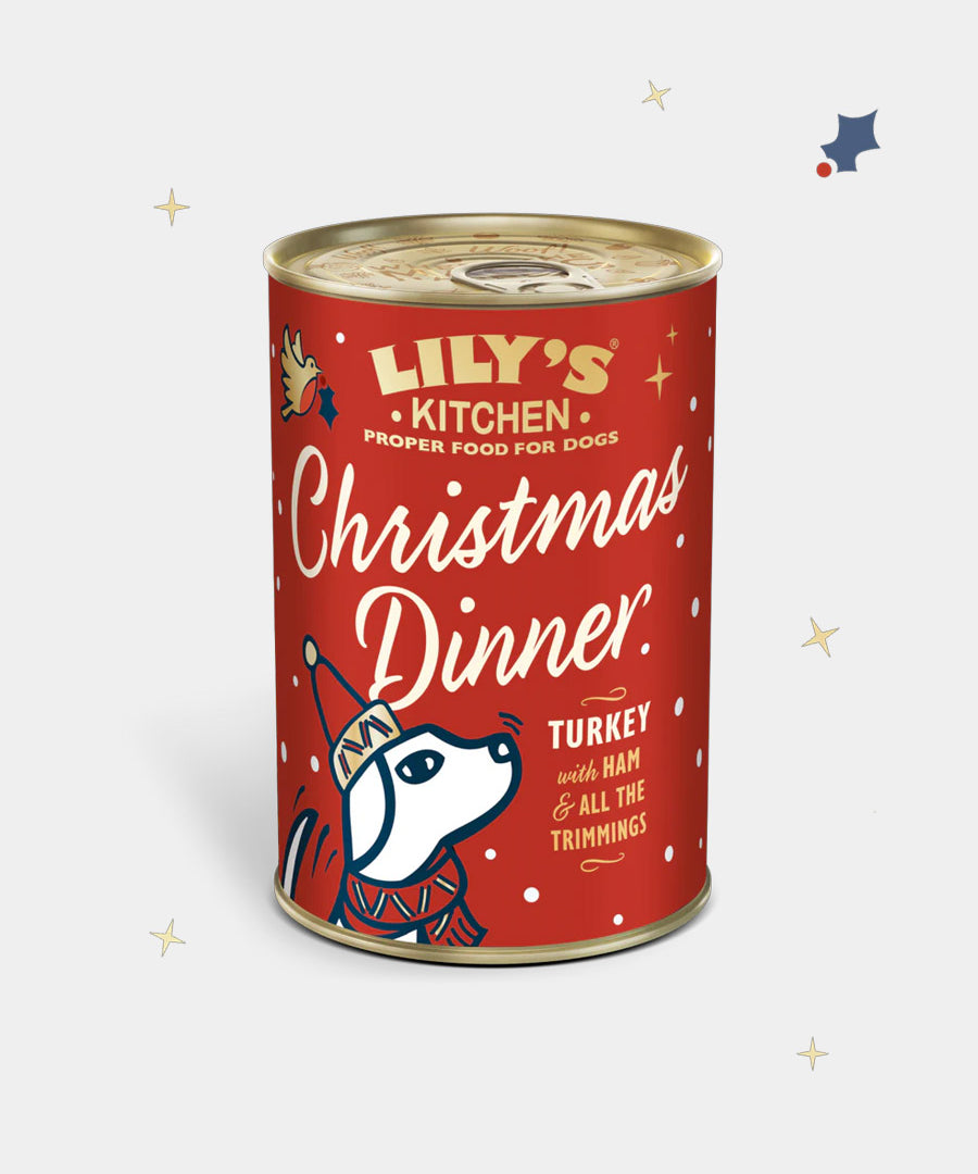Lily_s-Kitchen-patee-pour-chien-repas-de-noel-2025