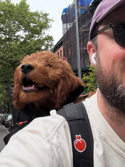 Little-Chonk-Sac-de-transport-pour-chien-maxine-one