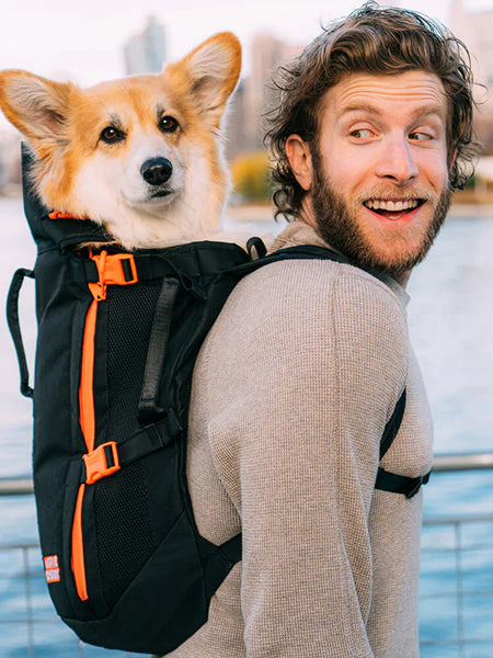 Little-Chonk-Sac-de-transport-pour-chien-maxine-one