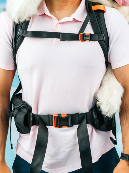 Little-Chonk-Sac-de-transport-pour-grand-chien-brodie-one