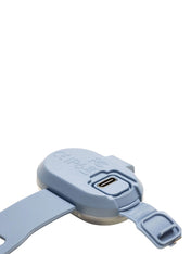 Max-Molly-lumiere-securite-visibilite-pour-chien-bleu