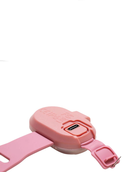 Max-Molly-lumiere-securite-visibilite-pour-chien-rose-poudre