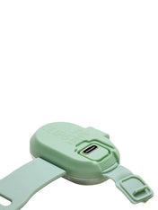 Max-Molly-lumiere-securite-visibilite-pour-chien-vert-sauge
