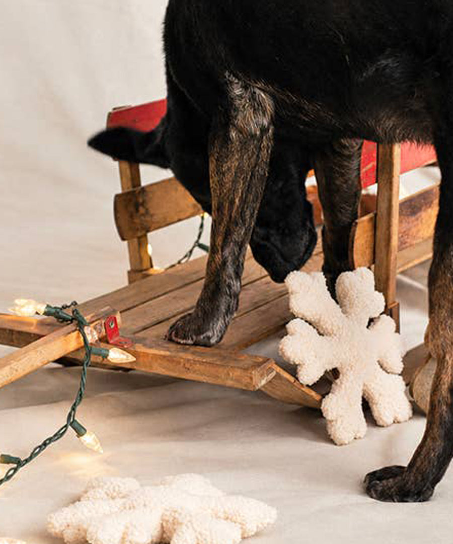 Modern-beast-peluche-pour-chien-noel-flocon