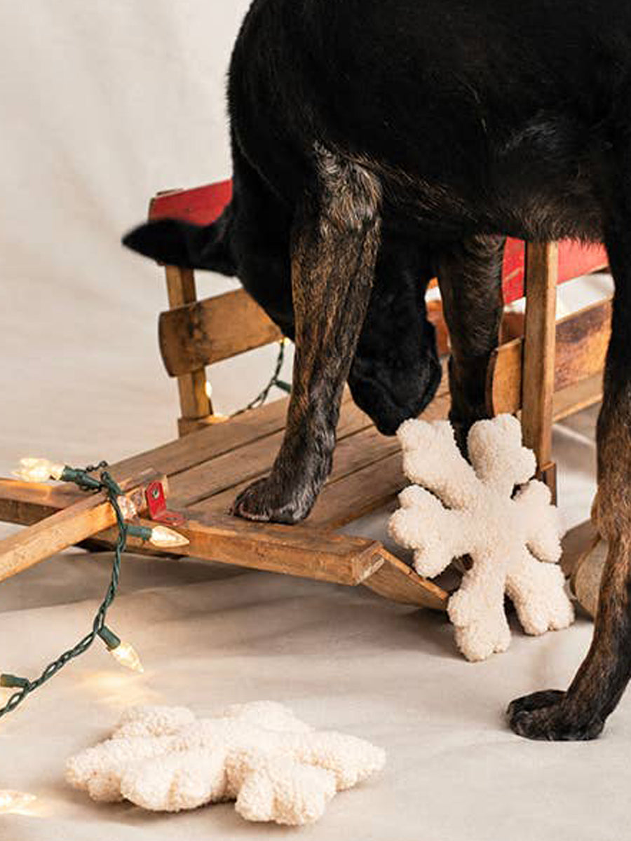 Modern-beast-peluche-pour-chien-noel-flocon