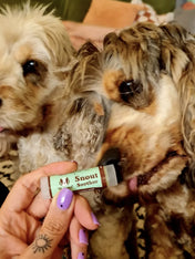 Natural-dog-company-soin-naturel-pour-chien-baume-reparateur-truffe