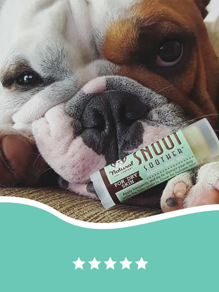 Natural-dog-company-soin-naturel-pour-chien-baume-reparateur-truffe