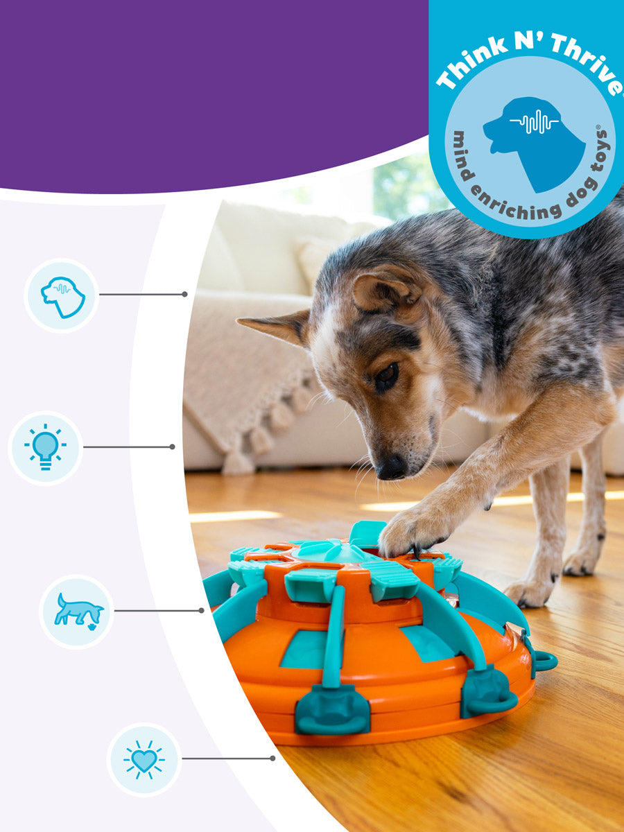 Outward-Hound-jouet-enrichissement-occupation-pour-chien-tower-of-treat
