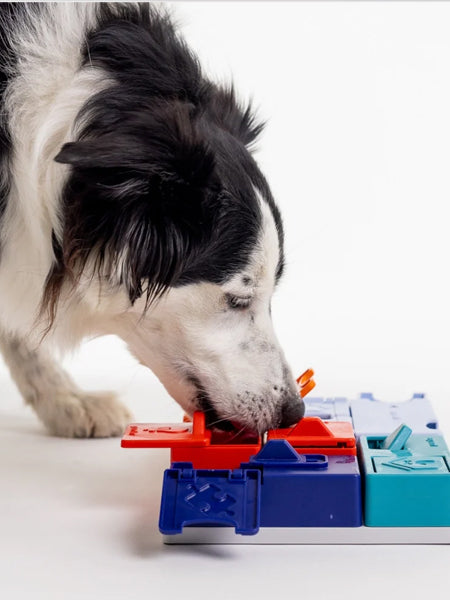 Pawzler-jeu-de-fouille-puzzle-pour-chien-genius