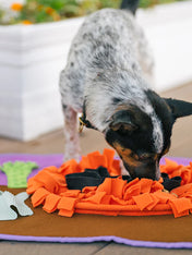        Pet-play-jouet-interactif-tapis-de-fouille-chien-chiot-halloween