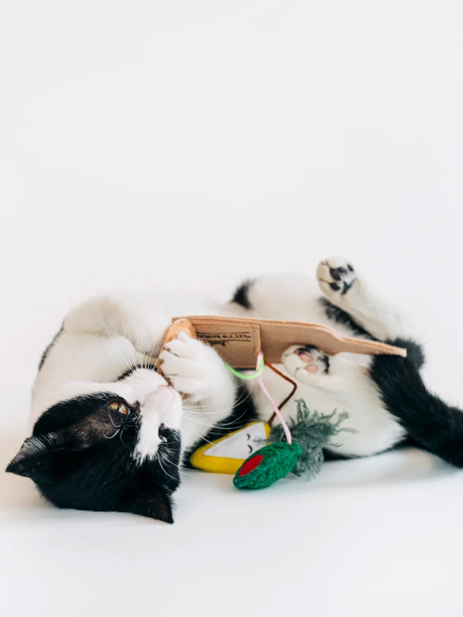 Pet-play-jouet-peluche-chat-feline-fenzy-plateau-charcuterie