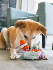 Pet-play-jouet-peluche-chien-Ocean-Buddies-corail