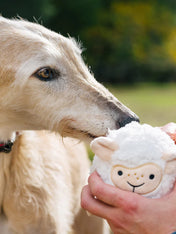 Pet-play-jouet-peluche-chien-balle-a-picot-Barnyard-Buddies-mouton