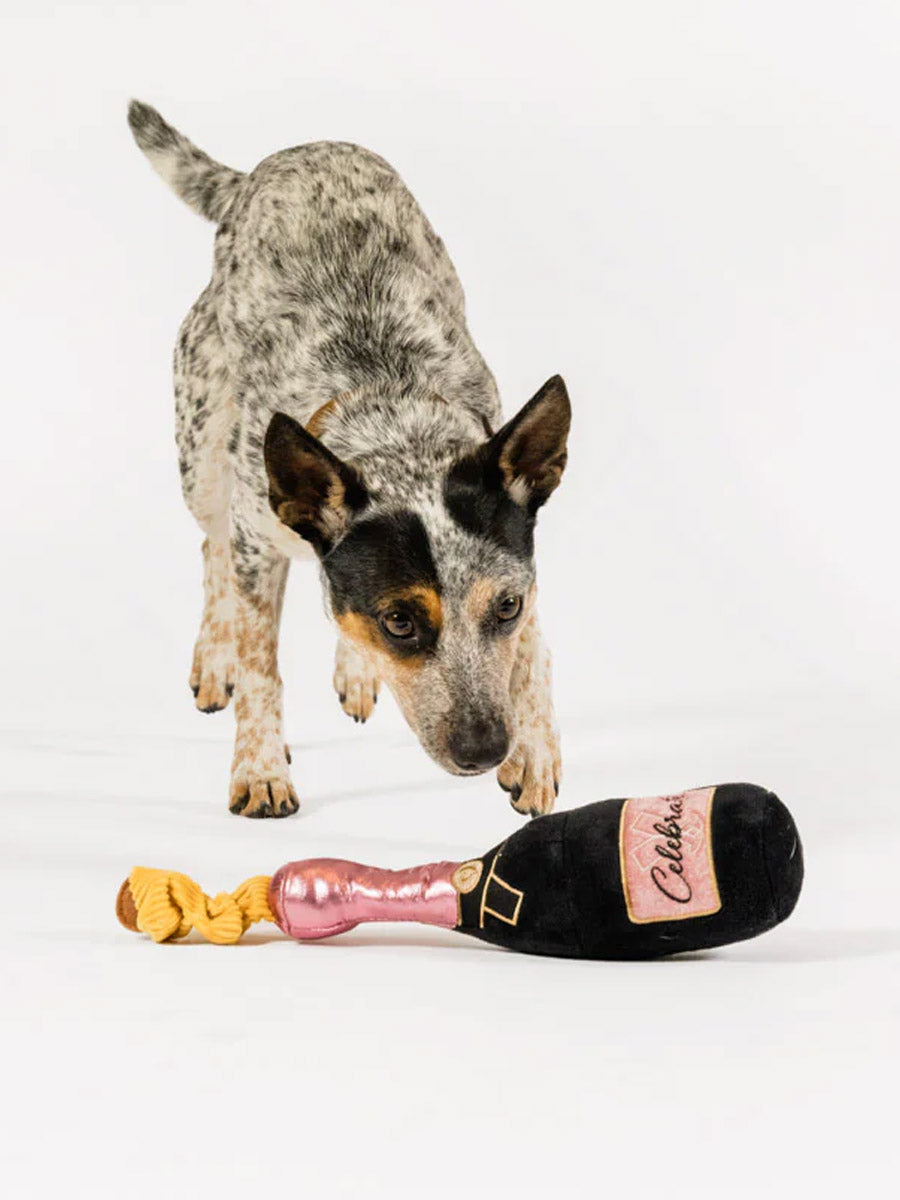 Pet-play-jouet-peluche-chien-bouteille-champagne-celebrate