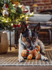 Pet-play-jouet-peluche-chien-holiday-classic-pain-epice