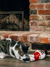 Pet-play-jouet-pour-chat-herbe-a-chat-kicker-noel-casse-noisette