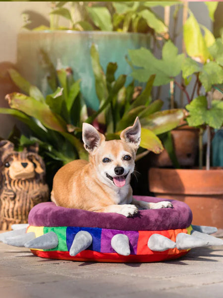 Pet-play-lit-couchage-pour-chien-spike
