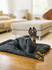 Pet-play-tapis-couchage-pour-chien-Chill-Pad-Canyon-Series-noir