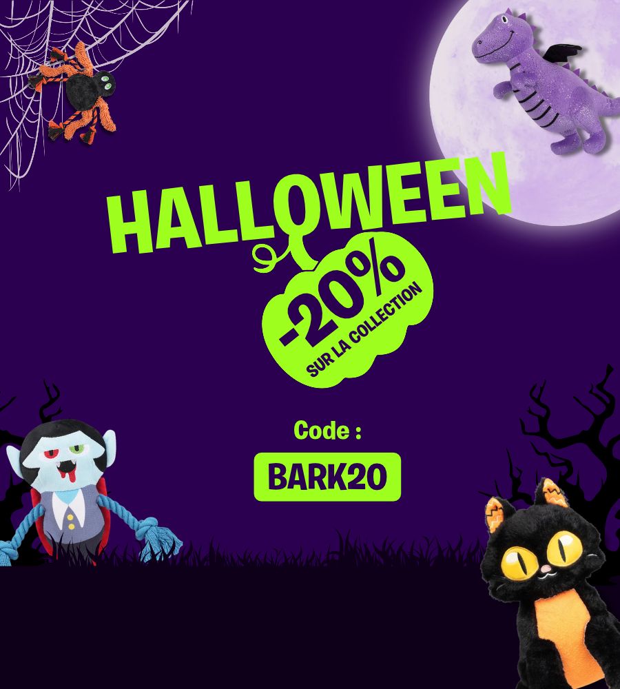 Promotion_halloween_pour_chien_et_chat_inooko.jpg