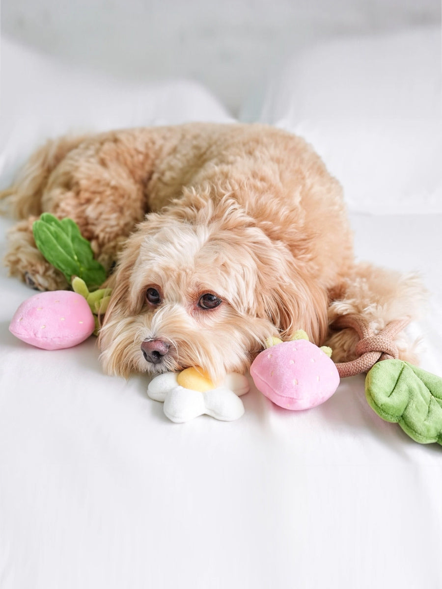 Pups-Bubs-jouet-en-corde-pour-chien-Strawberry-Vine