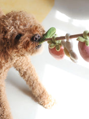 Pups-Bubs-jouet-en-corde-pour-chien-Strawberry-Vine