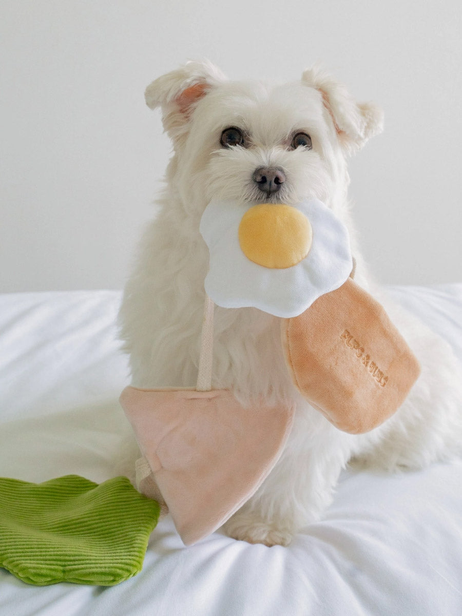 Pups-Bubs-peluche-fouille-pour-chien-2025-pita