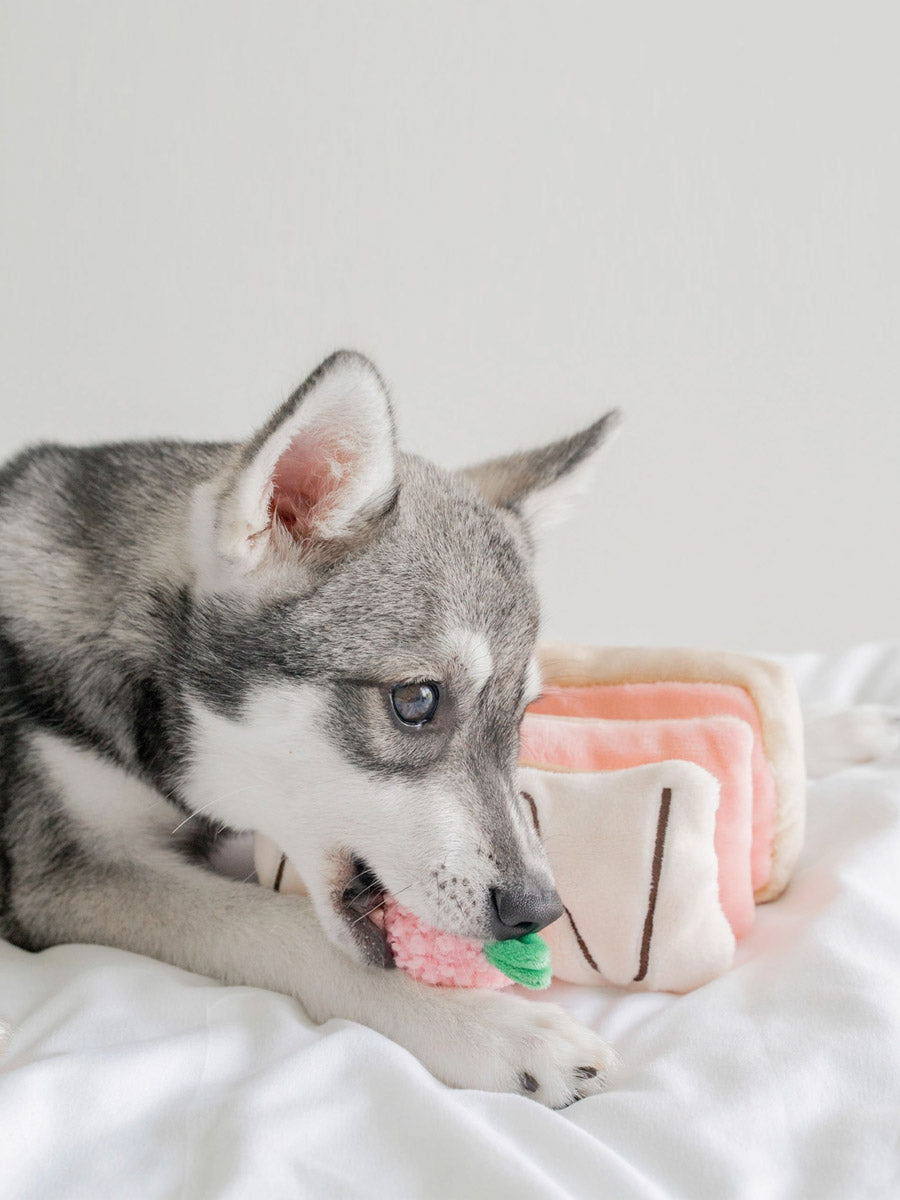 Pups-Bubs-peluche-fouille-pour-chien-Mille-Feuille-fraise