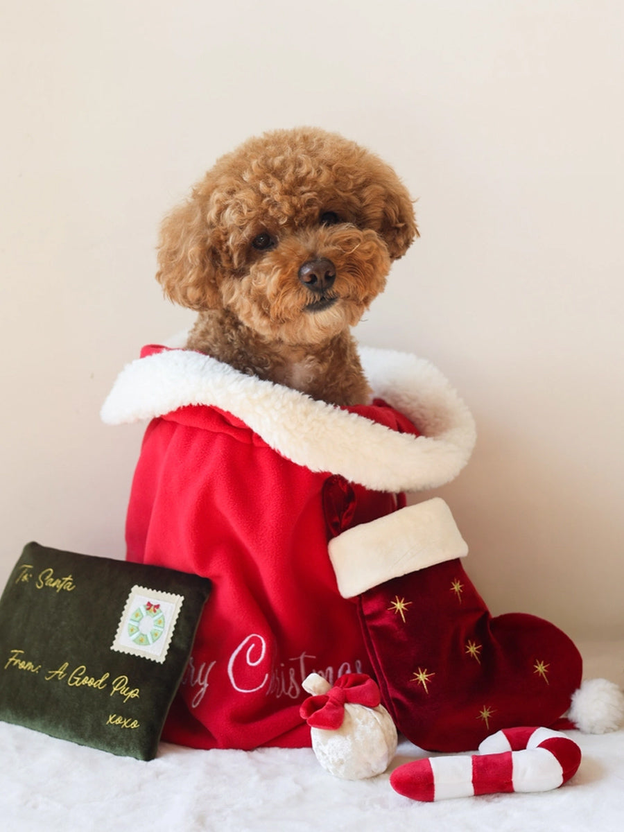 Pups-Bubs-peluche-fouille-pour-chien-chaussette-noel-Holiday-Stocking-Nosework