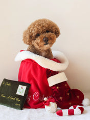 Pups-Bubs-peluche-fouille-pour-chien-chaussette-noel-Holiday-Stocking-Nosework