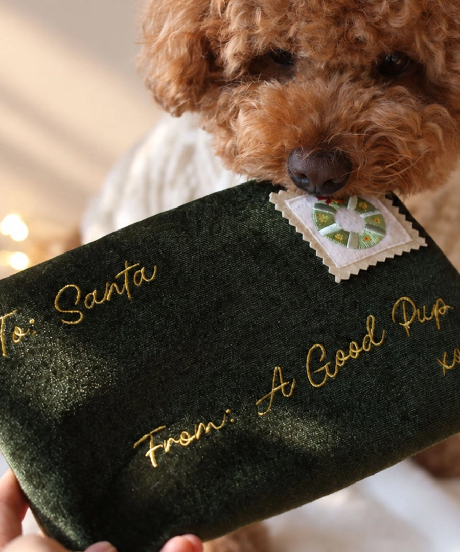 Pups-Bubs-peluche-fouille-pour-chien-lettre-pere-noel-Nosework