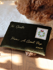 Pups-Bubs-peluche-fouille-pour-chien-lettre-pere-noel-Nosework
