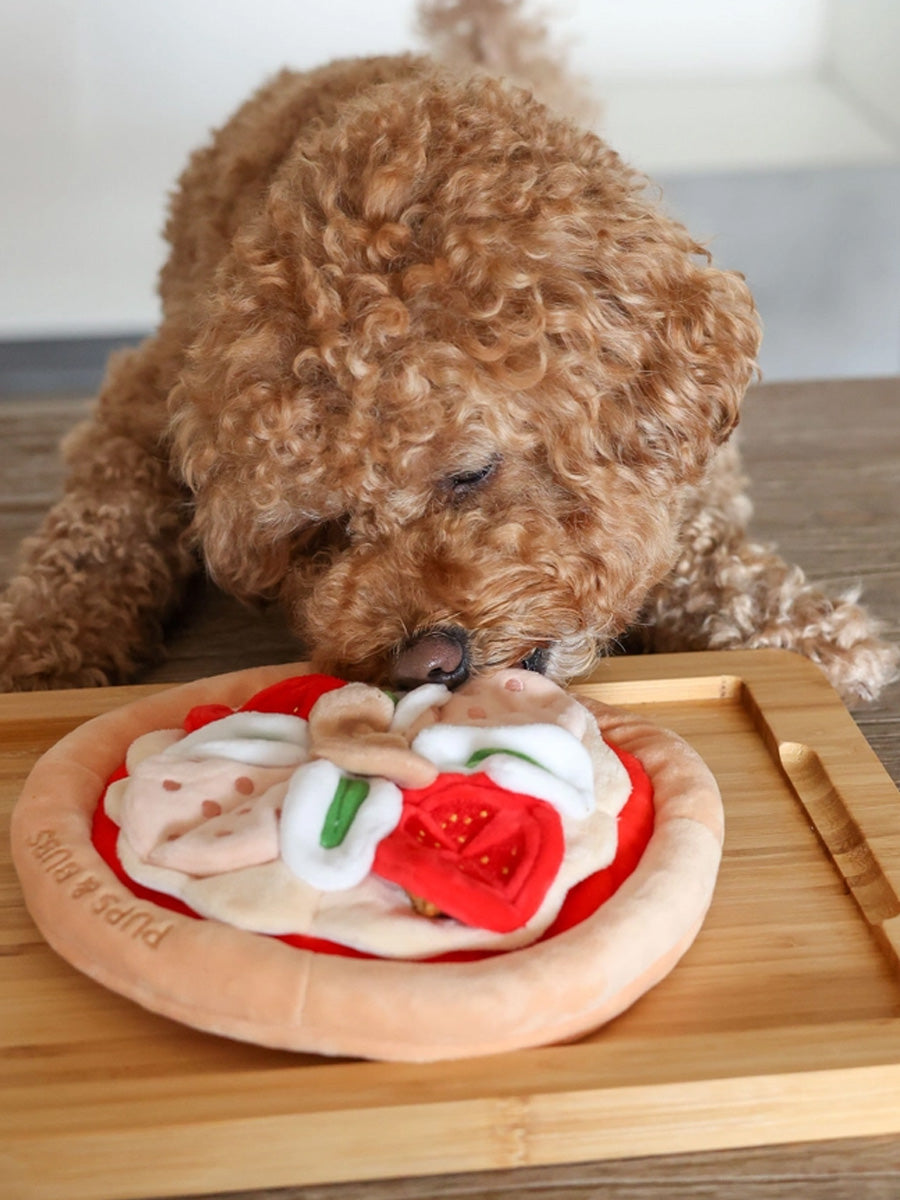 Pups-Bubs-peluche-fouille-pour-chien-pizza