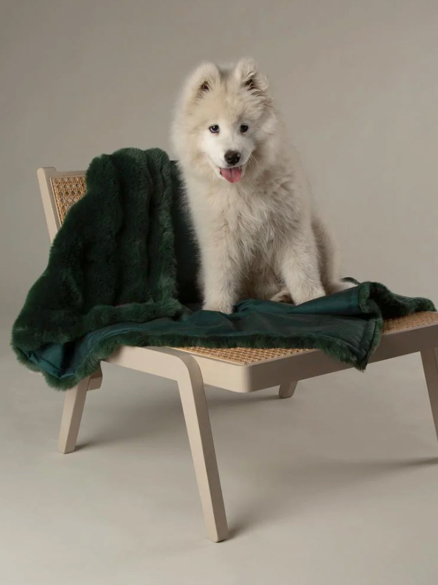 Scruffs-plaid-pour-chien-fetes-de-noel