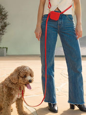 Shop-sunnytails-harnais-waterproof-pour-chien-cloud-lite-Rouge