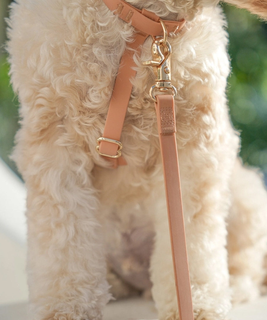 Shop-sunnytails-harnais-waterproof-pour-chien-cloud-lite-beige-chai