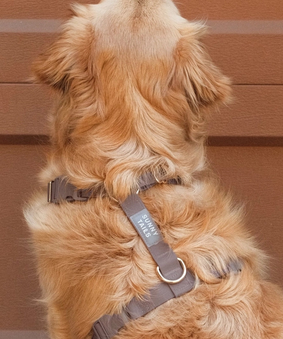 Shop-sunnytails-harnais-waterproof-pour-chien-cloud-lite-marron-espresso