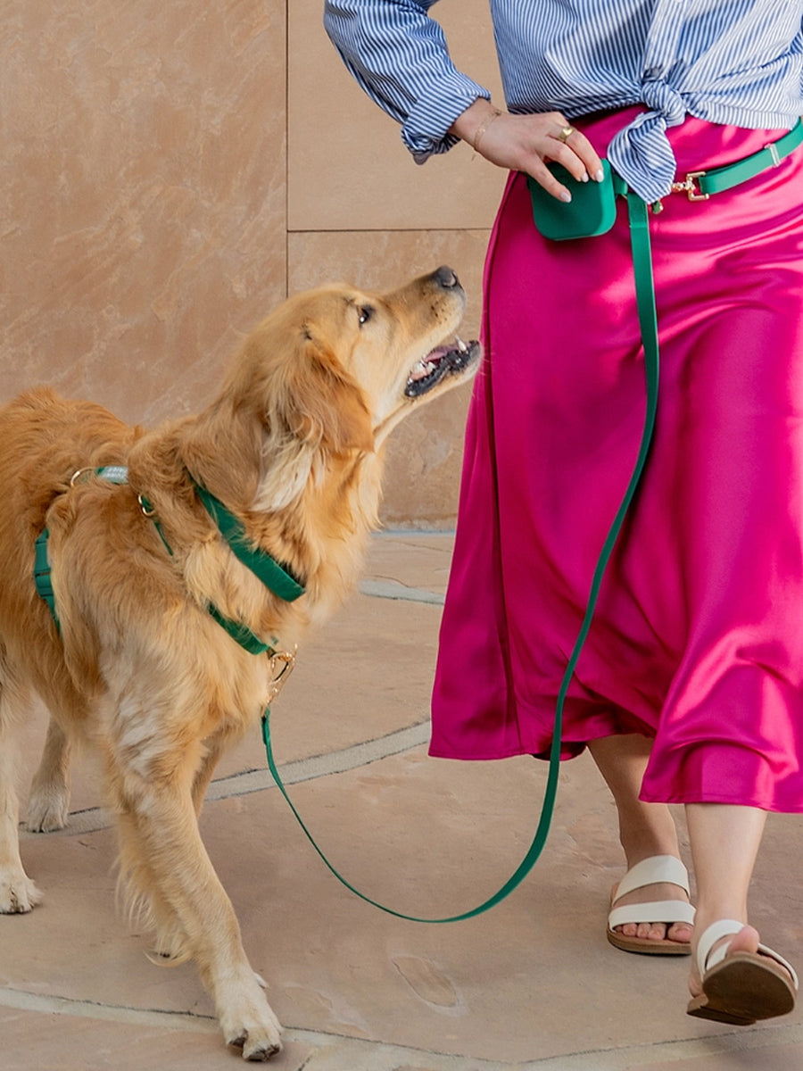 Shop-sunnytails-harnais-waterproof-pour-chien-cloud-lite-vert-foret
