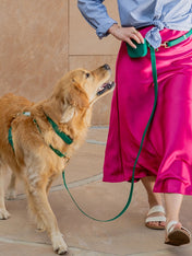 Shop-sunnytails-harnais-waterproof-pour-chien-cloud-lite-vert-foret