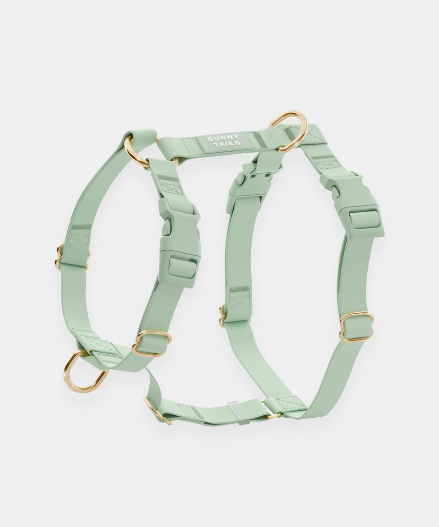Shop-sunnytails-harnais-waterproof-pour-chien-cloud-lite-vert-pistache
