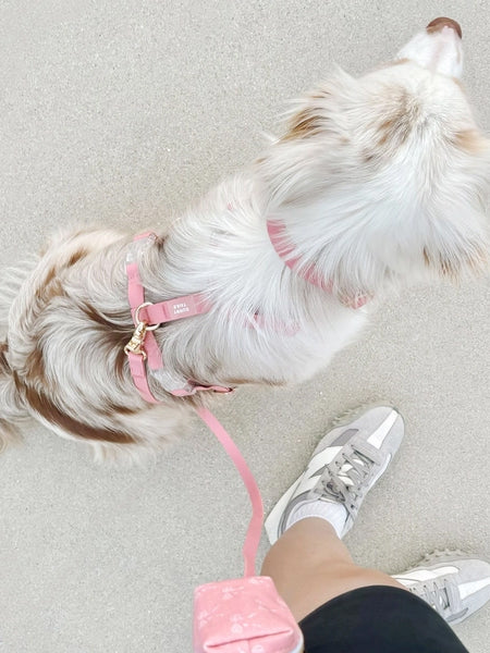 Laisse pour chien multipostions Cloud - Rose parfait - Shop Sunny Tails - inooko