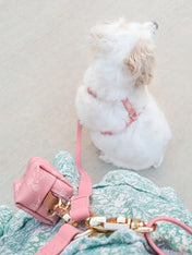Laisse pour chien multipostions Cloud - Rose parfait - Shop Sunny Tails - inooko