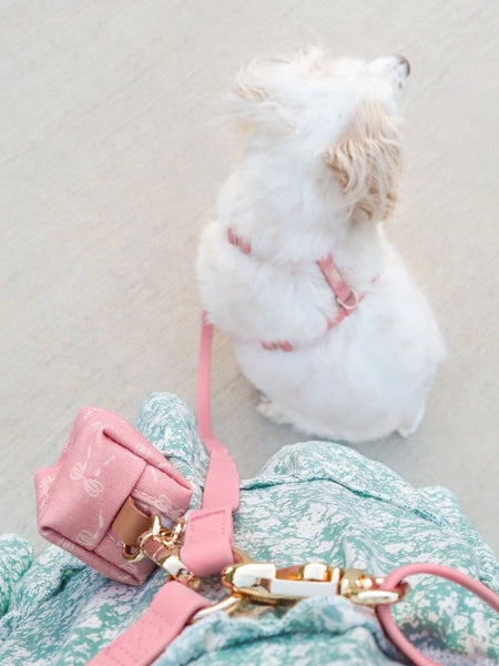 Laisse pour chien multipostions Cloud - Rose parfait - Shop Sunny Tails - inooko