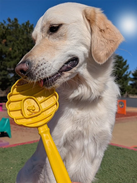 SodaPup-Lick-Stick-Hand-Held-jouetinteractif-pour-chien-chiot-beehive-ruche-jaune
